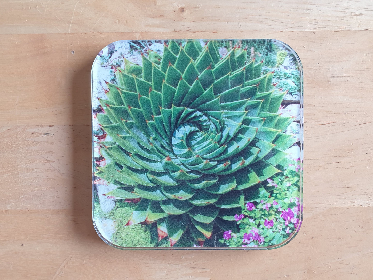2 pack of Coasters