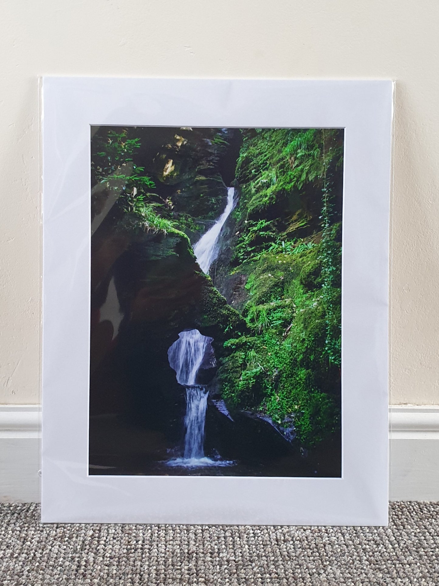 16 inch by 12 inch Mounted Prints